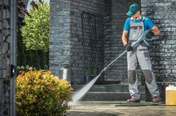 Best Solar Panel Cleaning  in Monterey, TN